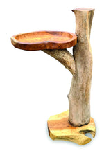 Driftwood Splash Bird Bath
