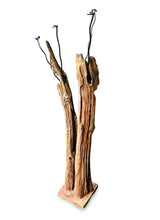 Driftwood Double Sculpture Coat Stand