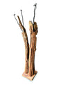 Driftwood Double Sculpture Coat Stand