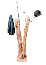 Driftwood Double Sculpture Coat Stand