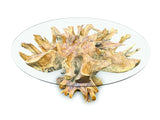 Lombok Round Dining Table With Glass 180cm