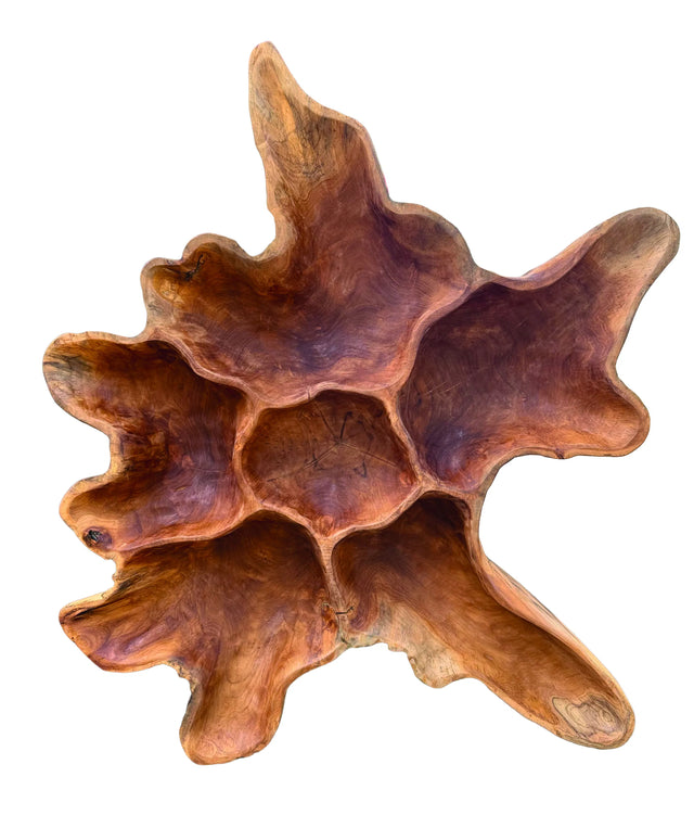 Teak Root Wall Art Sculpture Large