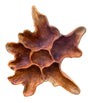 Teak Root Wall Art Sculpture Large