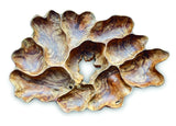 Teak Root Wall Art Sculpture Large