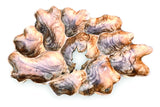 Teak Root Wall Art Sculpture Large