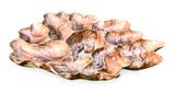 Teak Root Wall Art Sculpture Large