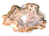Teak Root Wall Art Sculpture Large