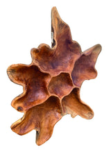 Teak Root Wall Art Sculpture Large