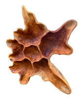 Teak Root Wall Art Sculpture Large