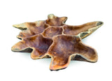 Teak Root Wall Art Sculpture Large