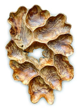 Teak Root Wall Art Sculpture Large