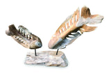 Double Fish Skeleton Sculpture On Stand Large