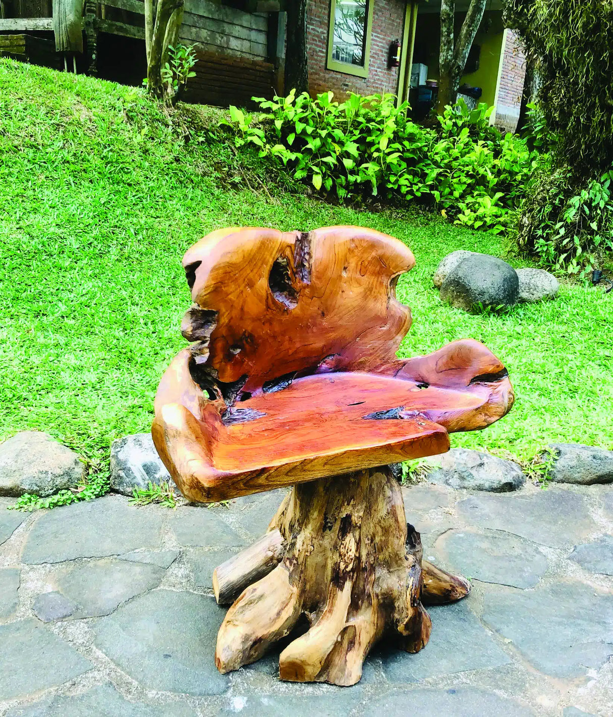Root Chair Solid Trunk Leg