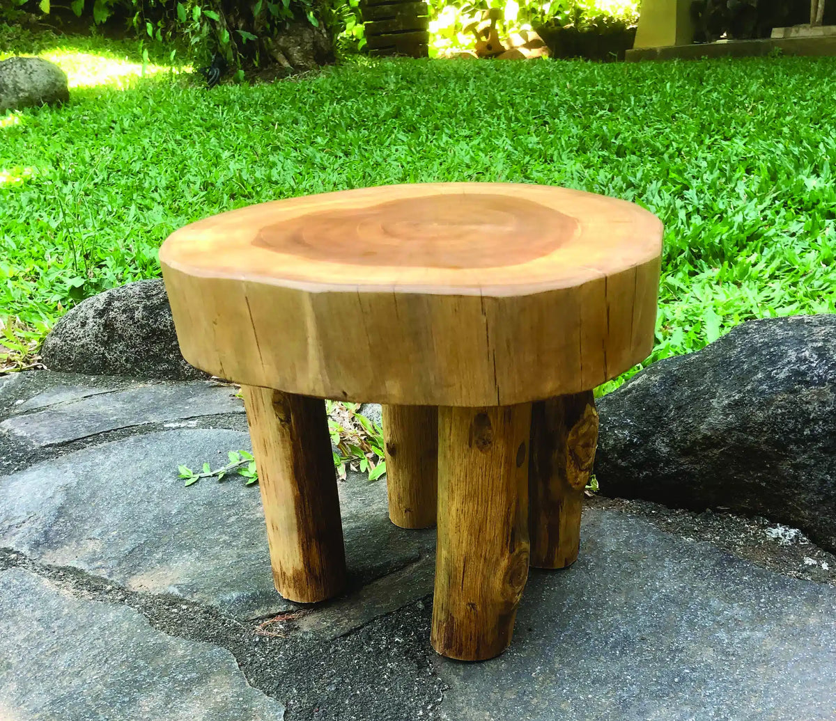 Root Mini Lamp Table/Foot Stool