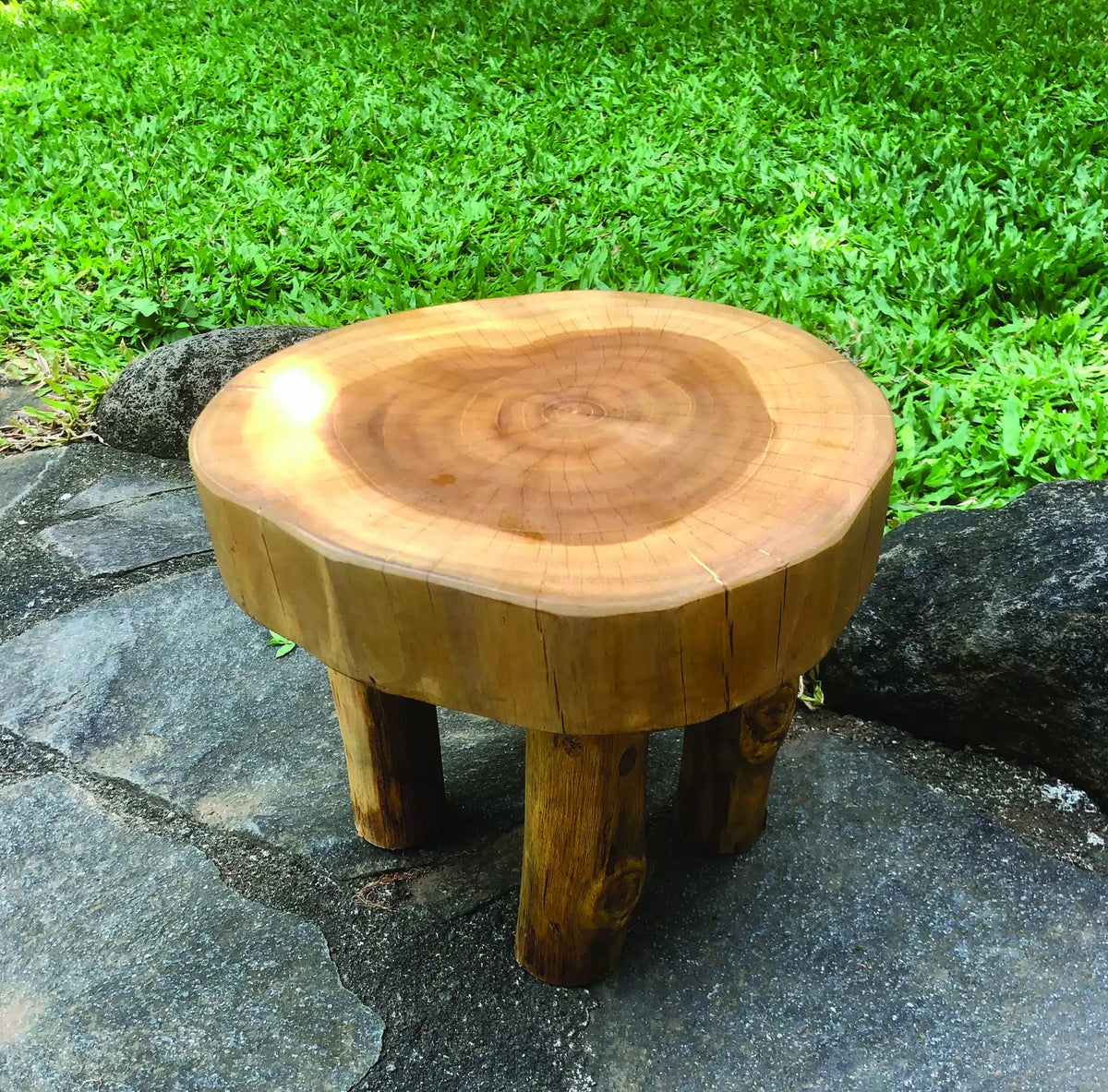 Root Mini Lamp Table/Foot Stool