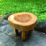 Root Mini Lamp Table/Foot Stool