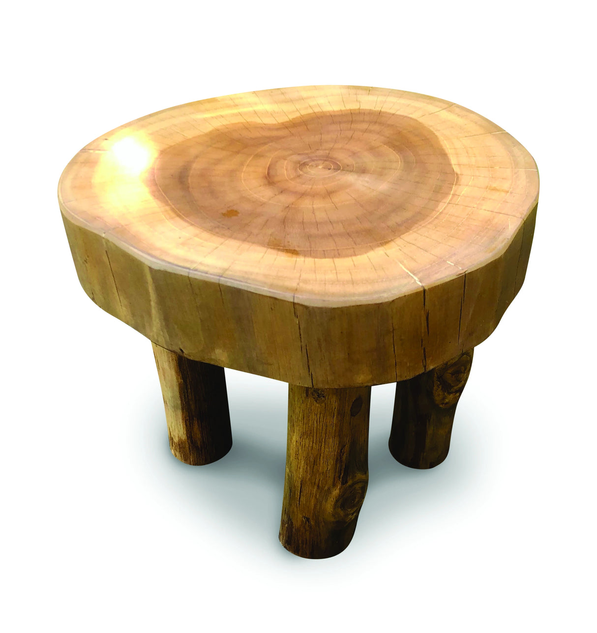 Root Mini Lamp Table/Foot Stool