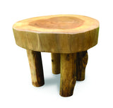 Root Mini Lamp Table/Foot Stool