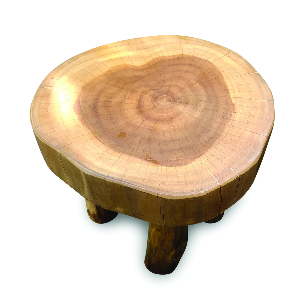 Root Mini Lamp Table/Foot Stool