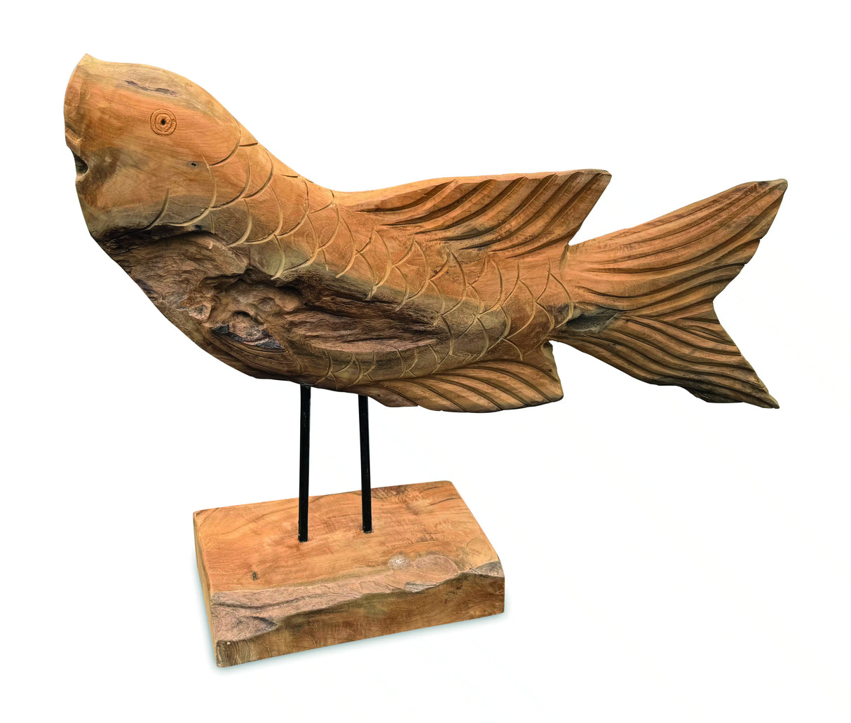 Star Gazing Koi Carp Sculpture