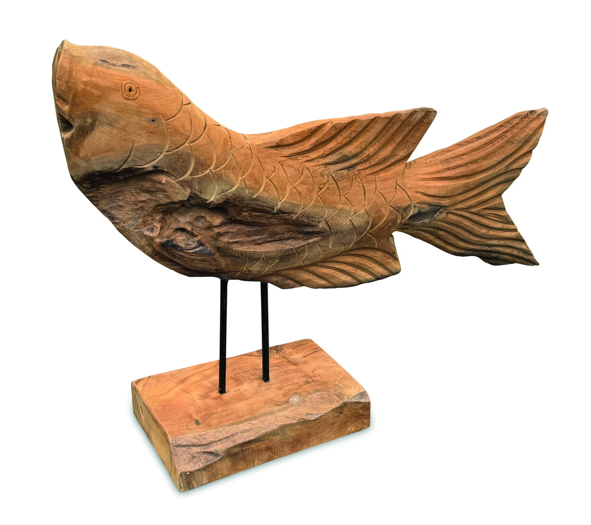 Star Gazing Koi Carp Sculpture