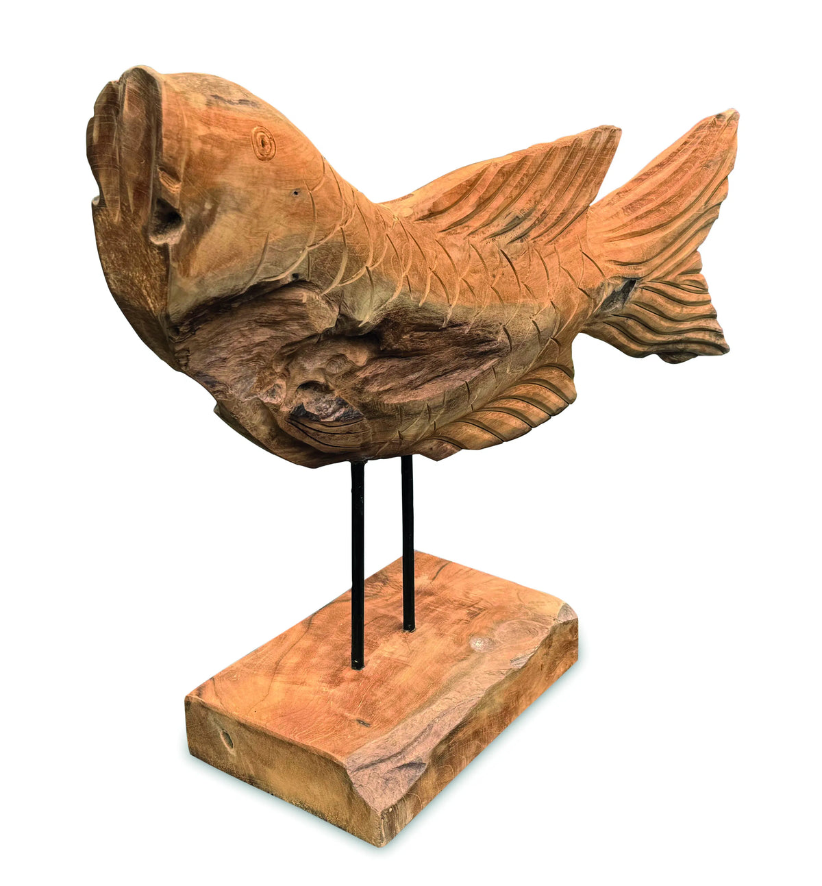 Star Gazing Koi Carp Sculpture