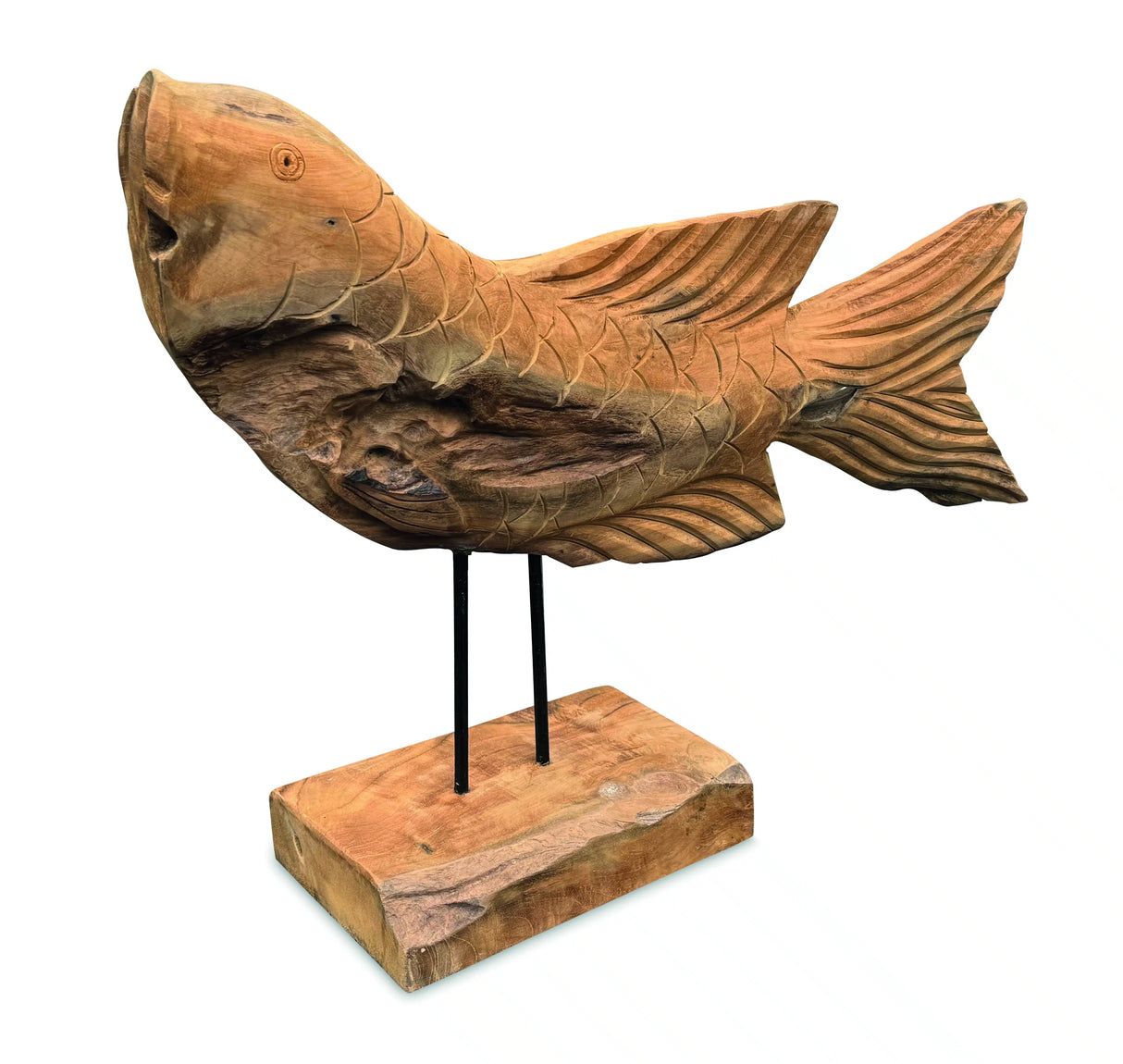 Star Gazing Koi Carp Sculpture