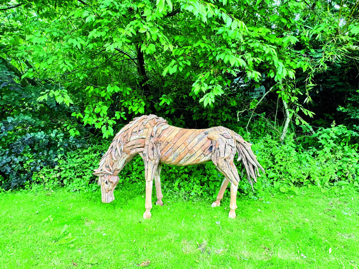 Teak Root Grazing Horse