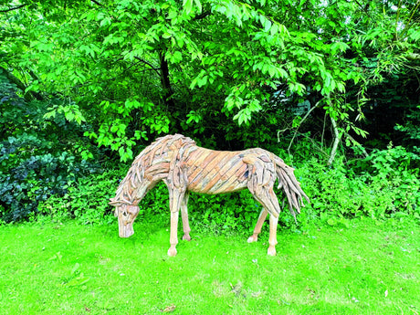 Teak Root Grazing Horse