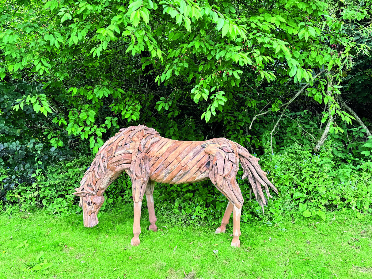 Teak Root Grazing Horse
