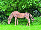 Teak Root Grazing Horse