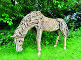 Teak Root Grazing Horse