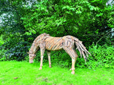 Teak Root Grazing Horse
