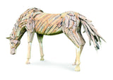 Teak Root Grazing Horse