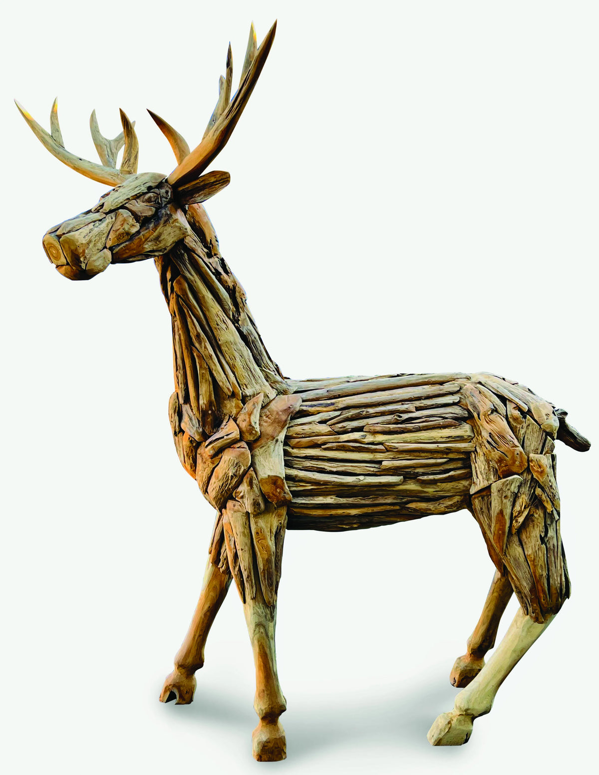Root Reindeer/Stag