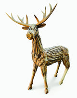 Root Reindeer/Stag