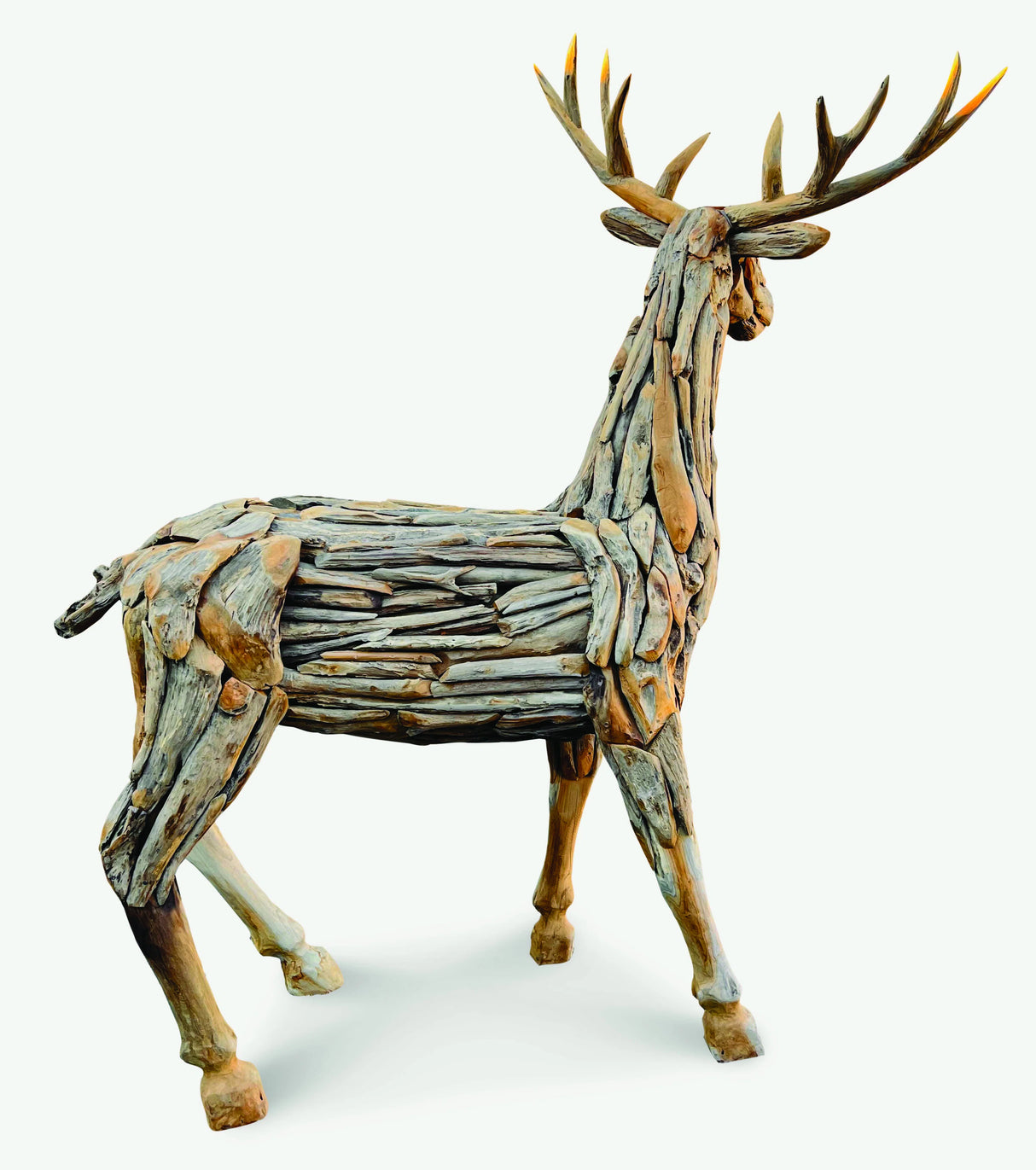 Root Reindeer/Stag