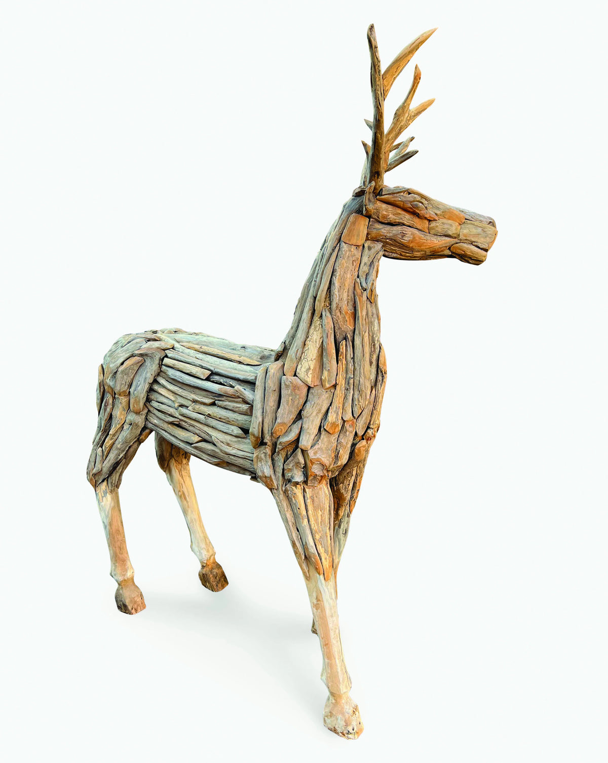 Root Reindeer/Stag
