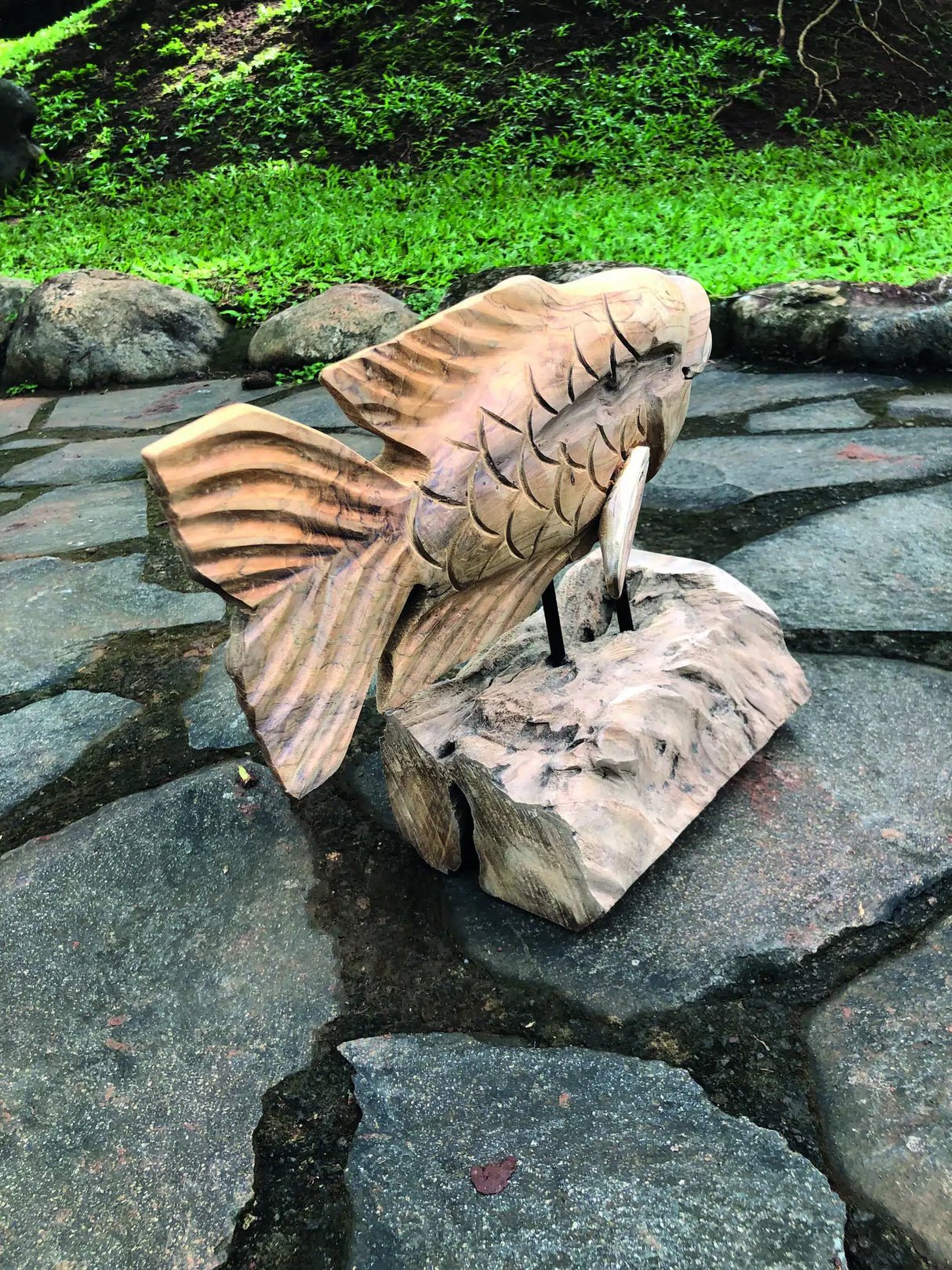 Teak Carp Fish On Stand 32cm