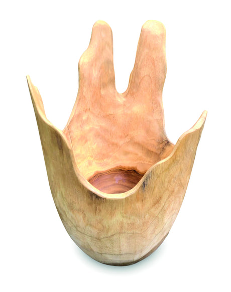 Exotic Driftwood Bowl