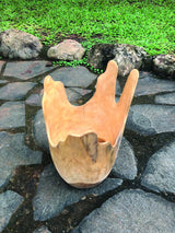Exotic Driftwood Bowl