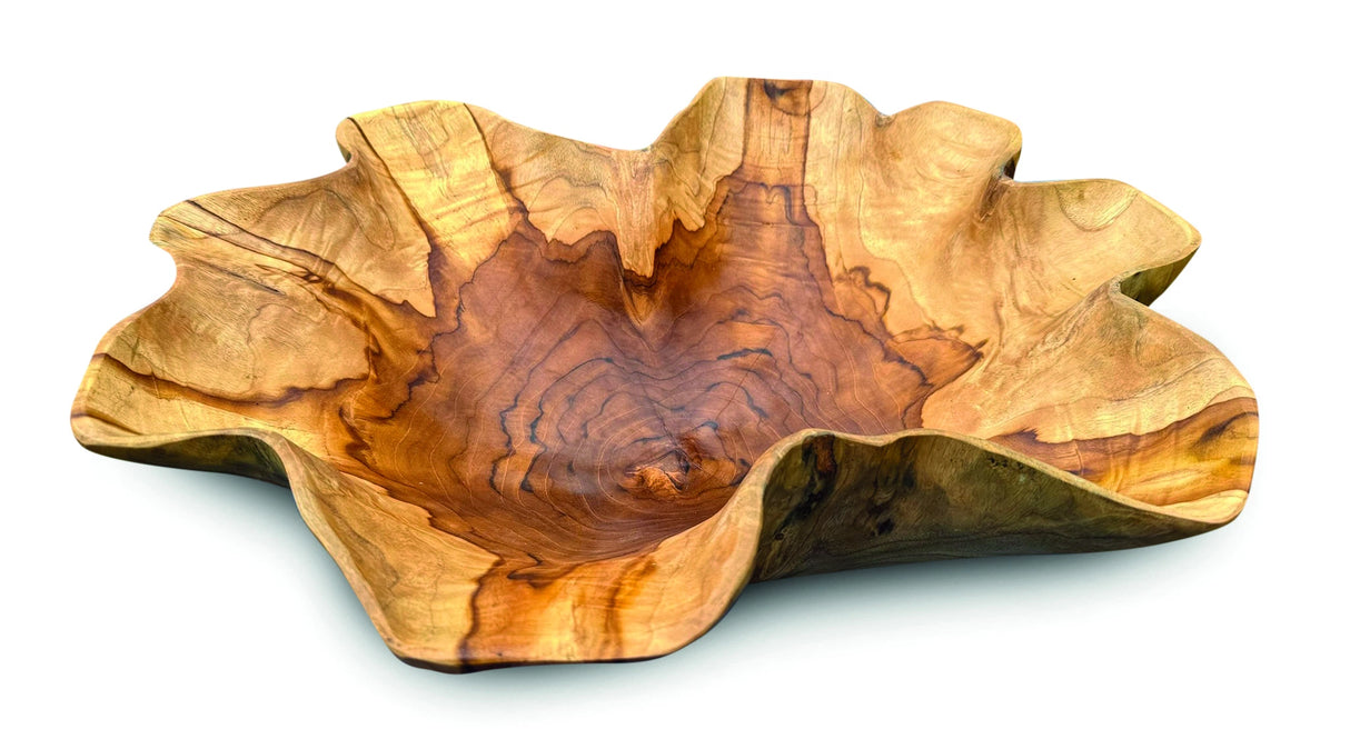 Clam Bowl Large 60cm