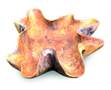 Clam Bowl Large 60cm