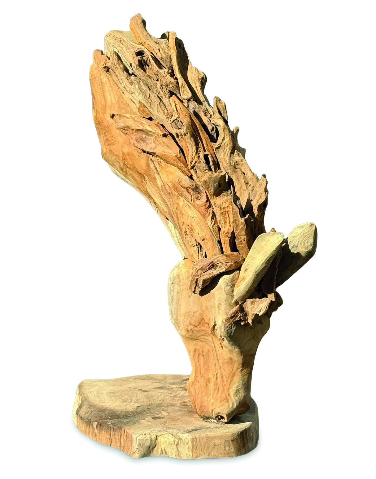 Grazing Horse Head 75cm
