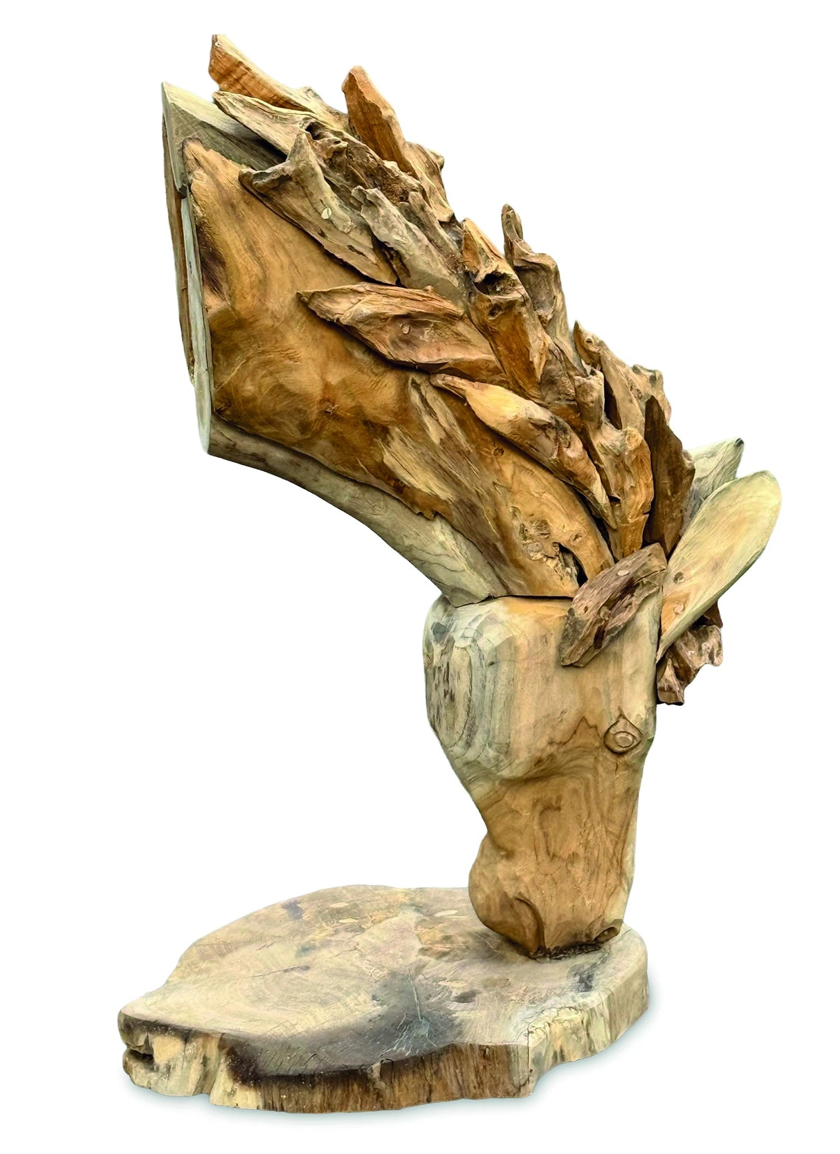 Grazing Horse Head 75cm