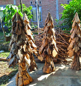 Christmas Tree Extra Large