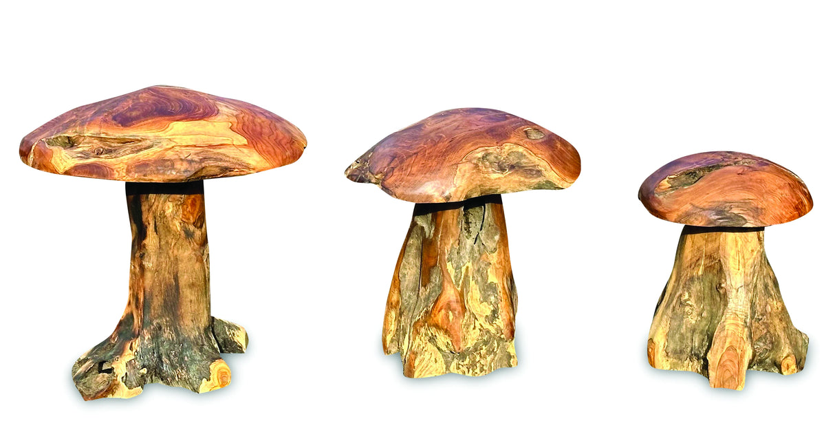 Root Chunky Mushrooms Set Of 3;Teak Root Mushroom Large