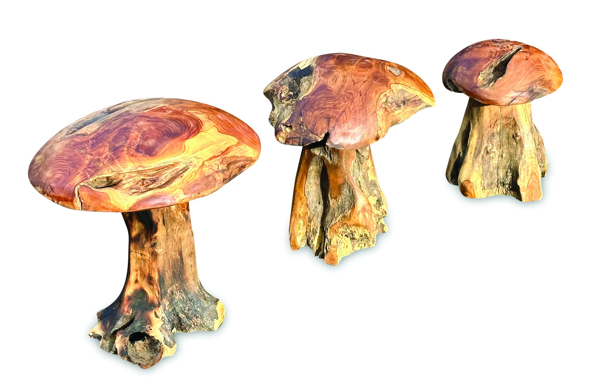 Root Chunky Mushrooms Set Of 3;Teak Root Mushroom Large