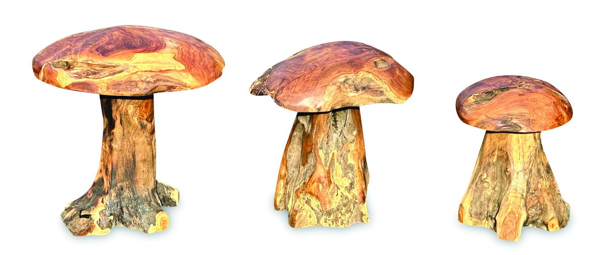 Root Chunky Mushrooms Set Of 3;Teak Root Mushroom Large