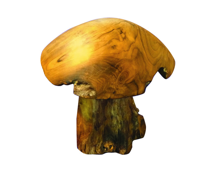 Teak Root Mushroom Medium